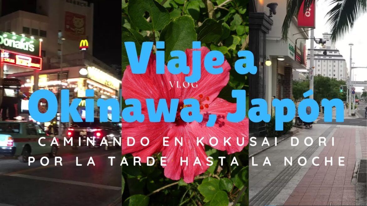 Viaje a Okinawa, Japón Caminando en Kokusai Dori por la tarde hasta la noche