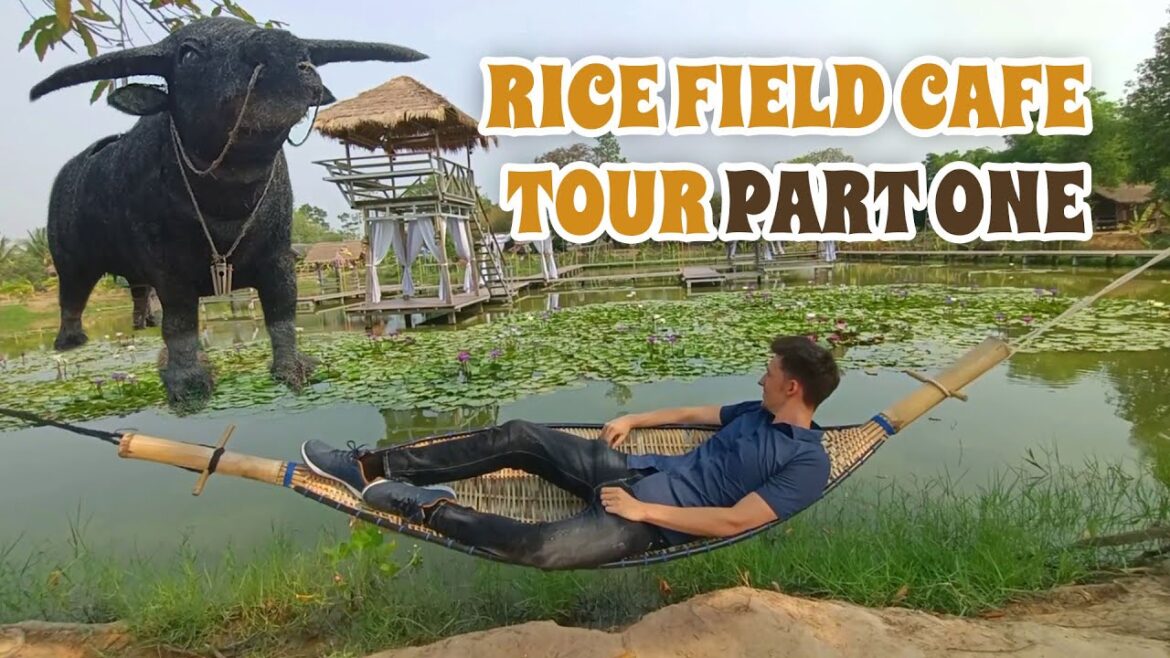 Isaan Rice Field Café Tour | Part 1/2 | Loh Don Nonna (เลาะดอนนอนนา)