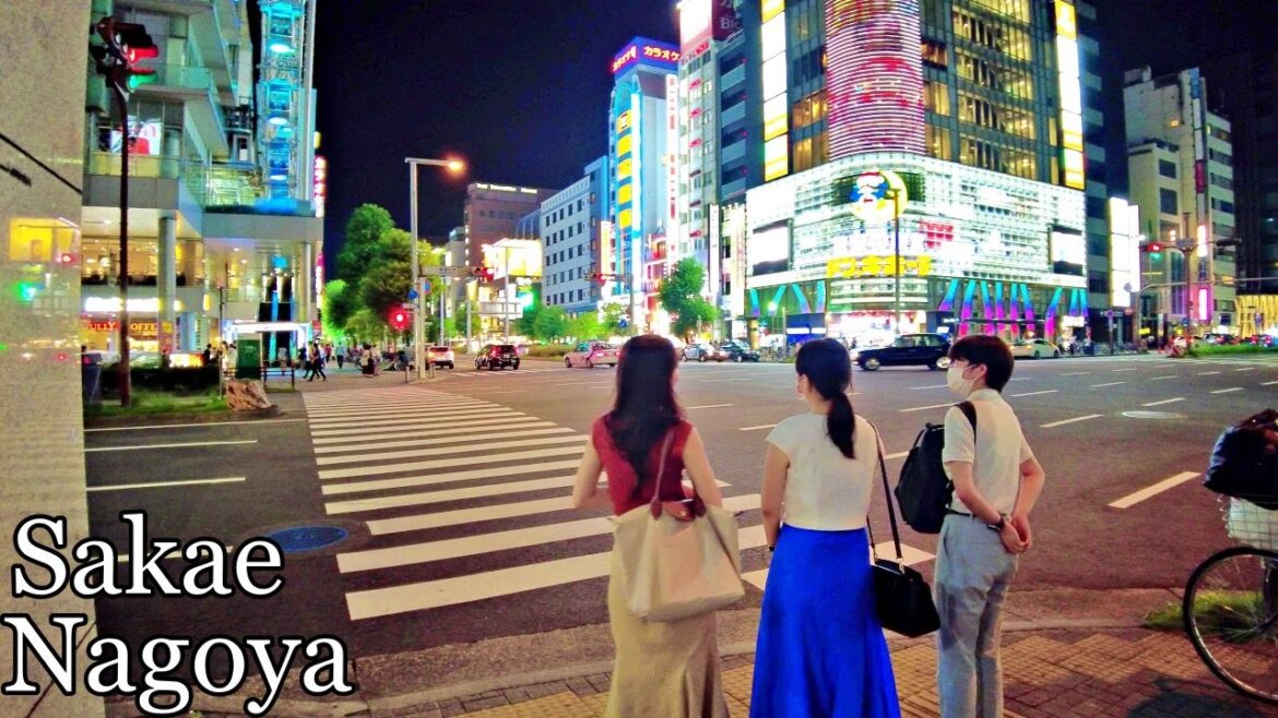 4K NIght Walk In Sakae Nagoya Japan №２　名古屋・栄の夜散歩  Dji Pocket2  #walk #nagoya #japan #djipocket2