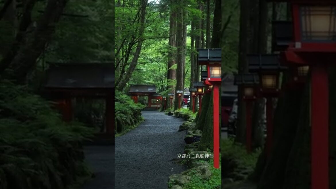 japan kyoto prefecture kihune shrine 京都府 貴船神社⛩ バス停から少し歩くけど奥宮まではいくべし ・ ・ ・ ・ ・ ・ ・ japan kyoto prefecture kihune shrine 京都府 貴船神社⛩ バス停から少し歩くけど奥宮まではいくべし ・ ・ ・ ・ ・ ・ ・