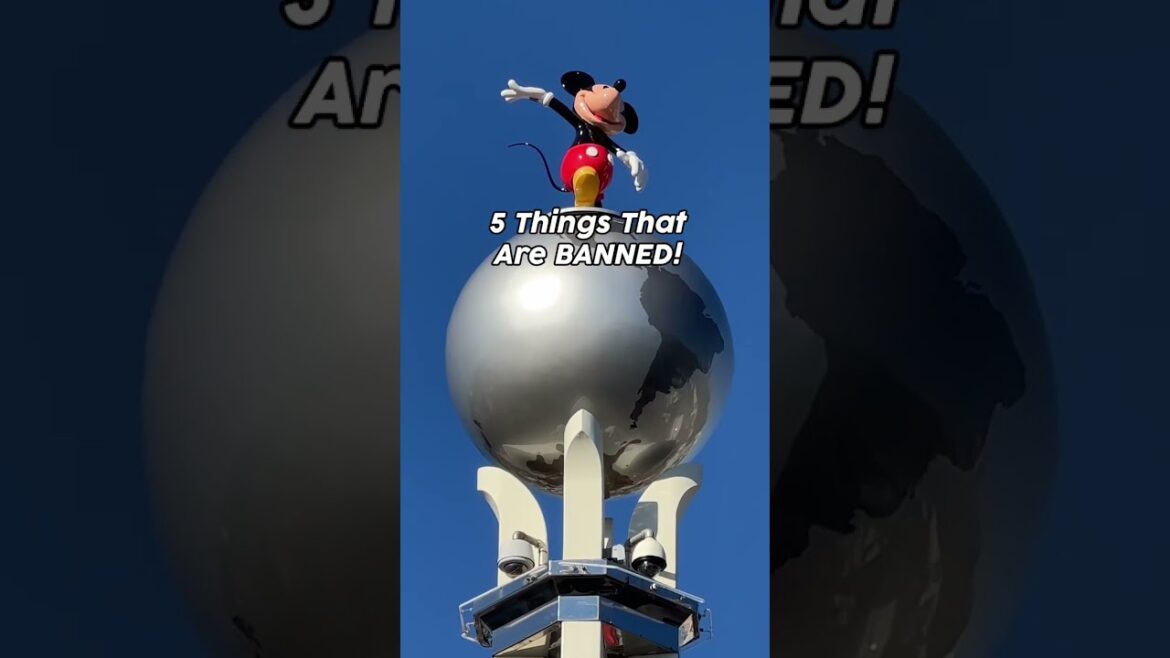 BANNED in Disney World 🚫