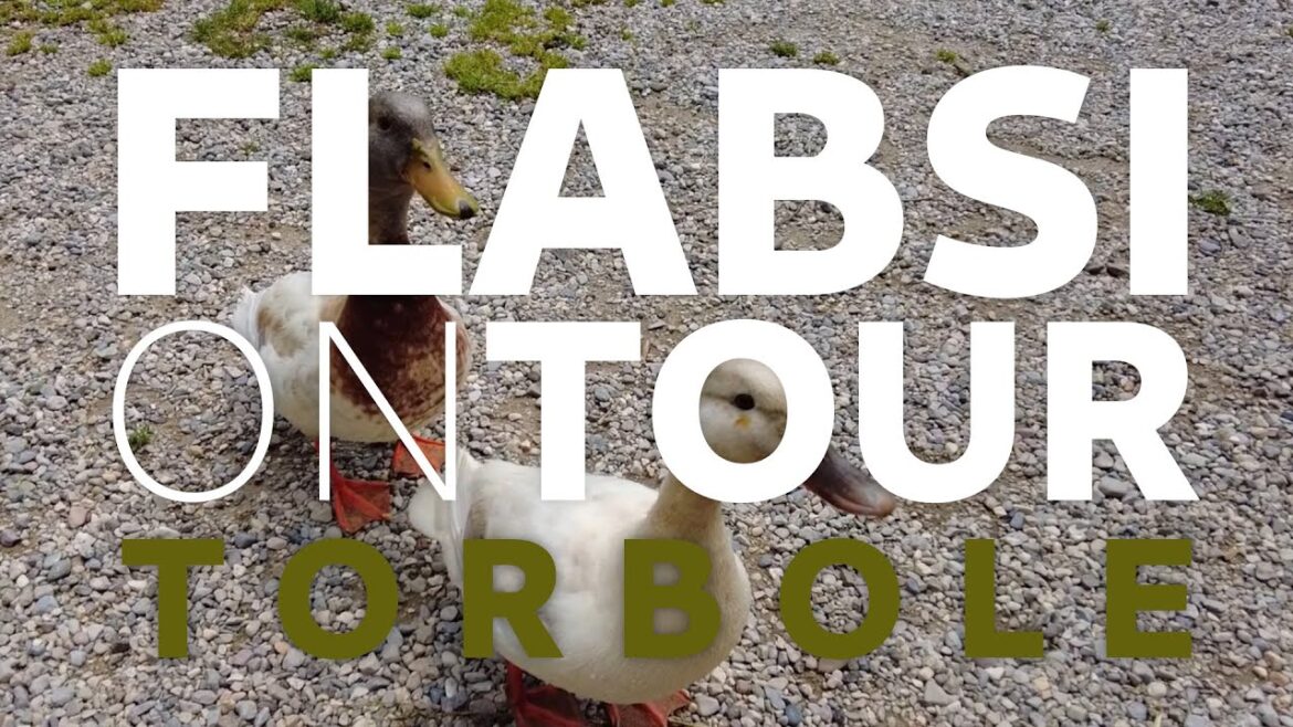 FLABSI ON TOUR - Torbole: Am Nordufer des Gardasees / Na severnom brehu Gardského jazera