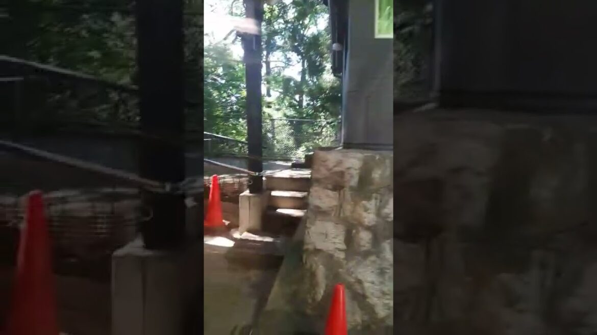 1 A funicular railway of kyoto - Ready to travel! #kyoto #japan #station #vlog #travelvlog