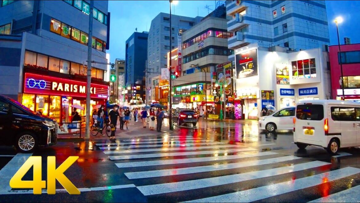 【4K】Walking in Heavy Rain in Tokyo – From Takadanobaba to Shin-Okubo, Japan 高田馬場から新大久保まで(東京散歩) 【4K】Walking in Heavy Rain in Tokyo - From Takadanobaba to Shin-Okubo, Japan 高田馬場から新大久保まで(東京散歩)