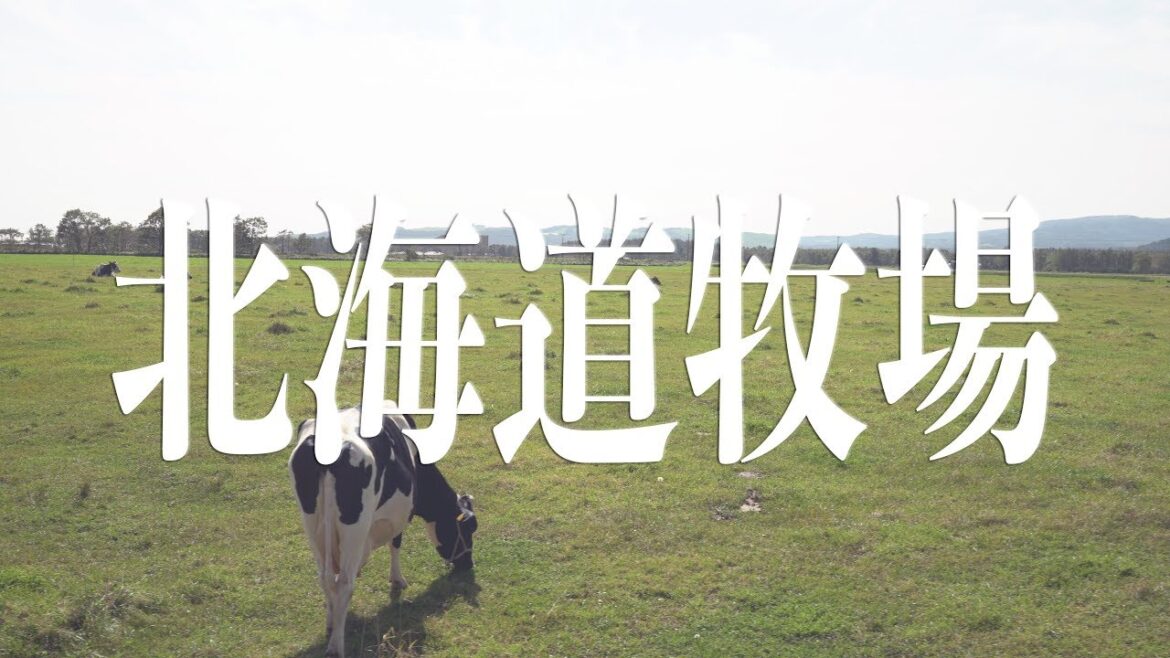 北海道牧場現擠牛奶 /Travel and Cook日本篇/ 北海道牧場現擠牛奶 /Travel and Cook日本篇/