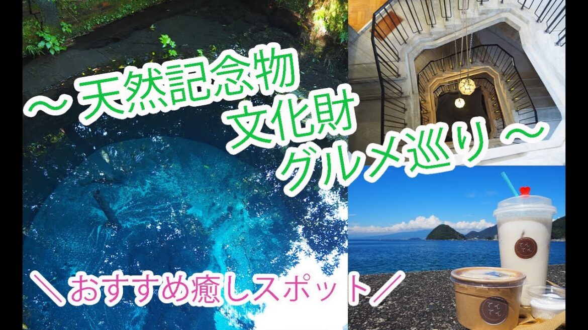 【天然記念物と文化財巡り】沼津市が誇る芹沢光治良さんがすごい！ 本日の沼津#26