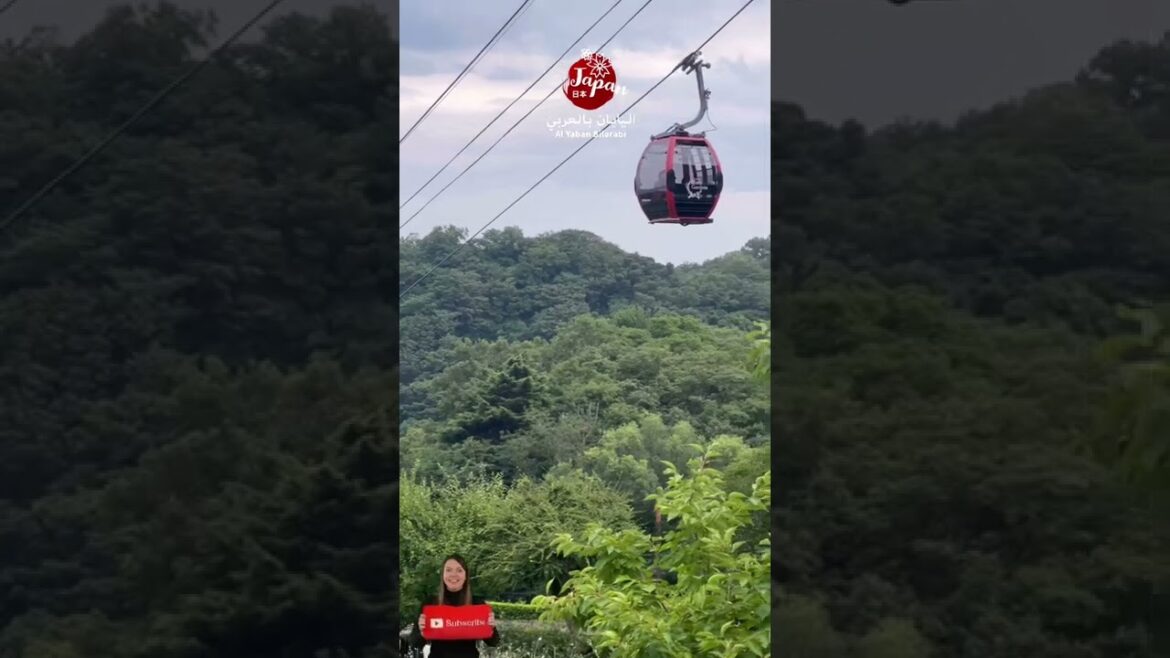 Beautiful scenic & Relaxing view from Japan.