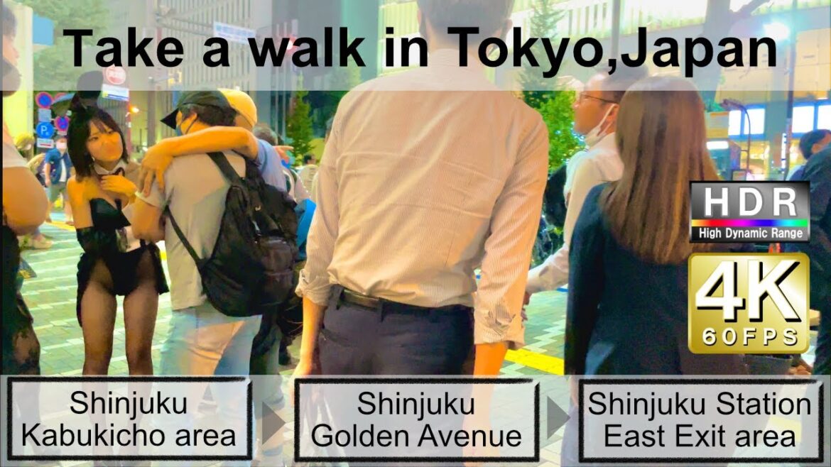 4K 60fps HDR// Take a walk in Tokyo, Japan, Shinjuku Kabukicho area→Golden Avenue→Shinjuku East area