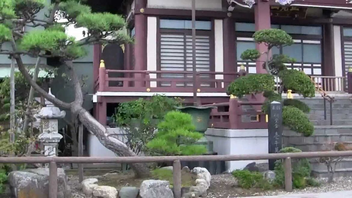 Beautiful Myokakuji Temple Tour in Myoden Japan.MTS