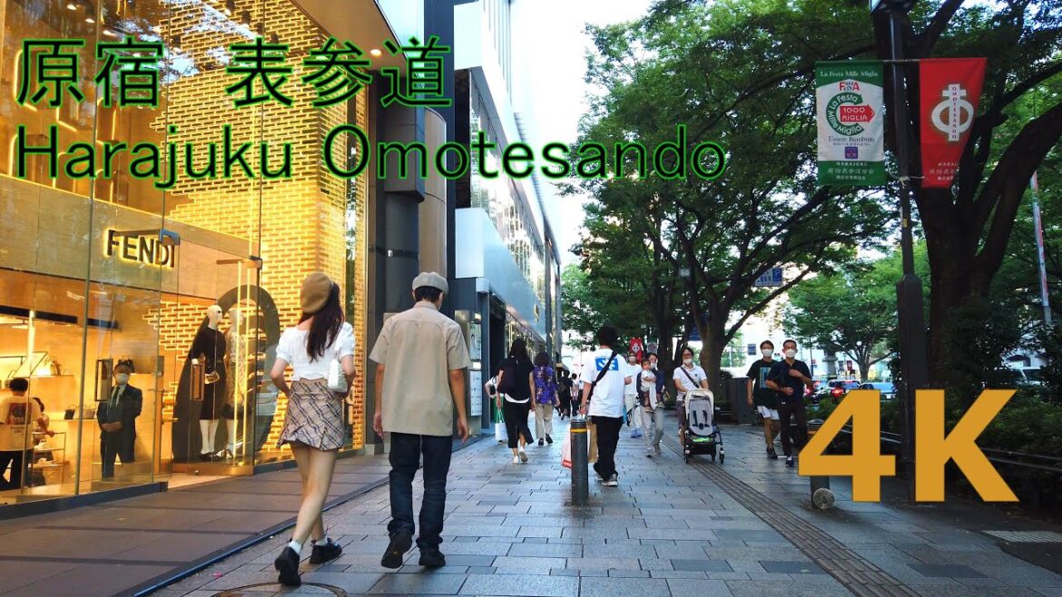 【4k】Tokyo walk-Harajuku Omotesando🌺原宿、表参道を散歩