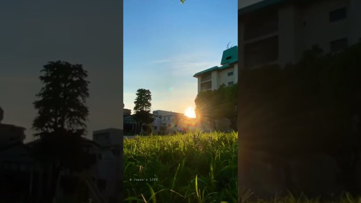 Calm evening #japan #nature #evening #walk #nature #kobe #hyogo