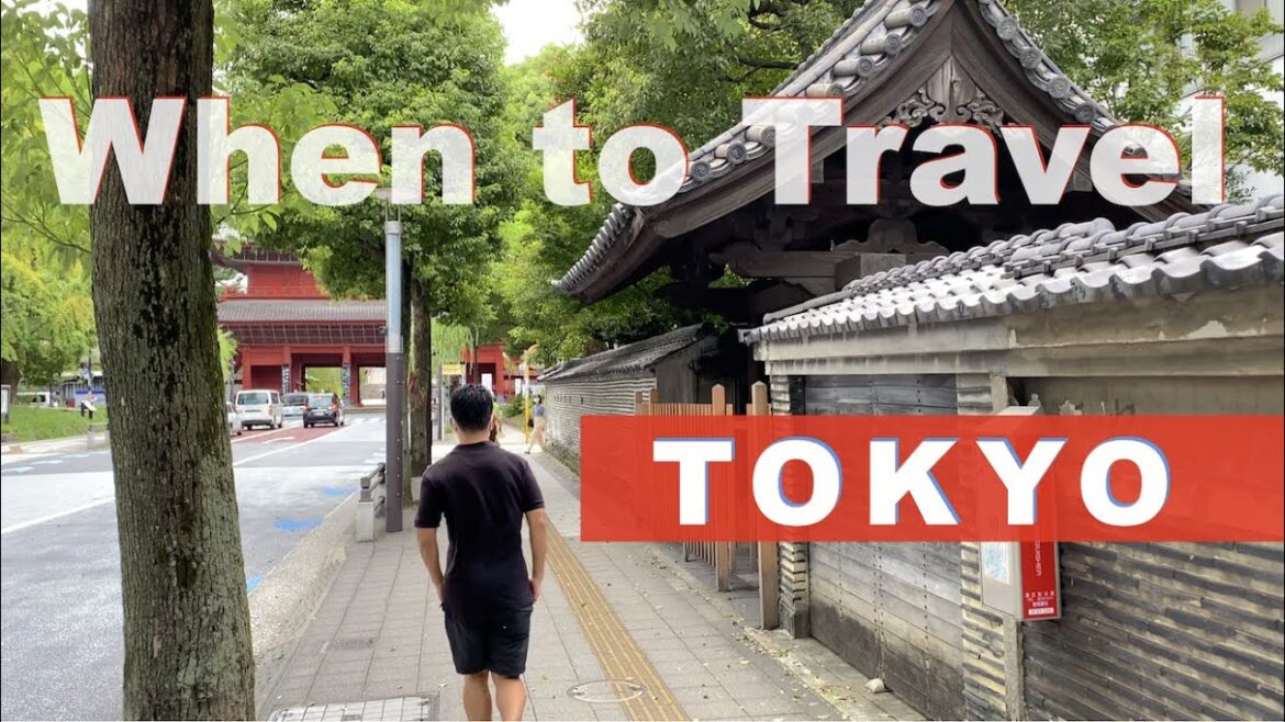 Weather, Hollidays… The Best and the Worst Season to Travel Tokyo, Japan Weather, Hollidays... The Best and the Worst Season to Travel Tokyo, Japan