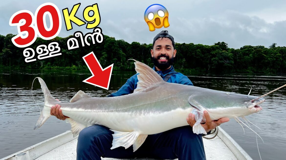 EP #05 Biggest Catfish In Amazon River | ചൂണ്ടയിൽ പിടിച്ച മീനിനെ കണ്ടോ?? EP #05 Biggest Catfish In Amazon River | ചൂണ്ടയിൽ പിടിച്ച മീനിനെ കണ്ടോ??