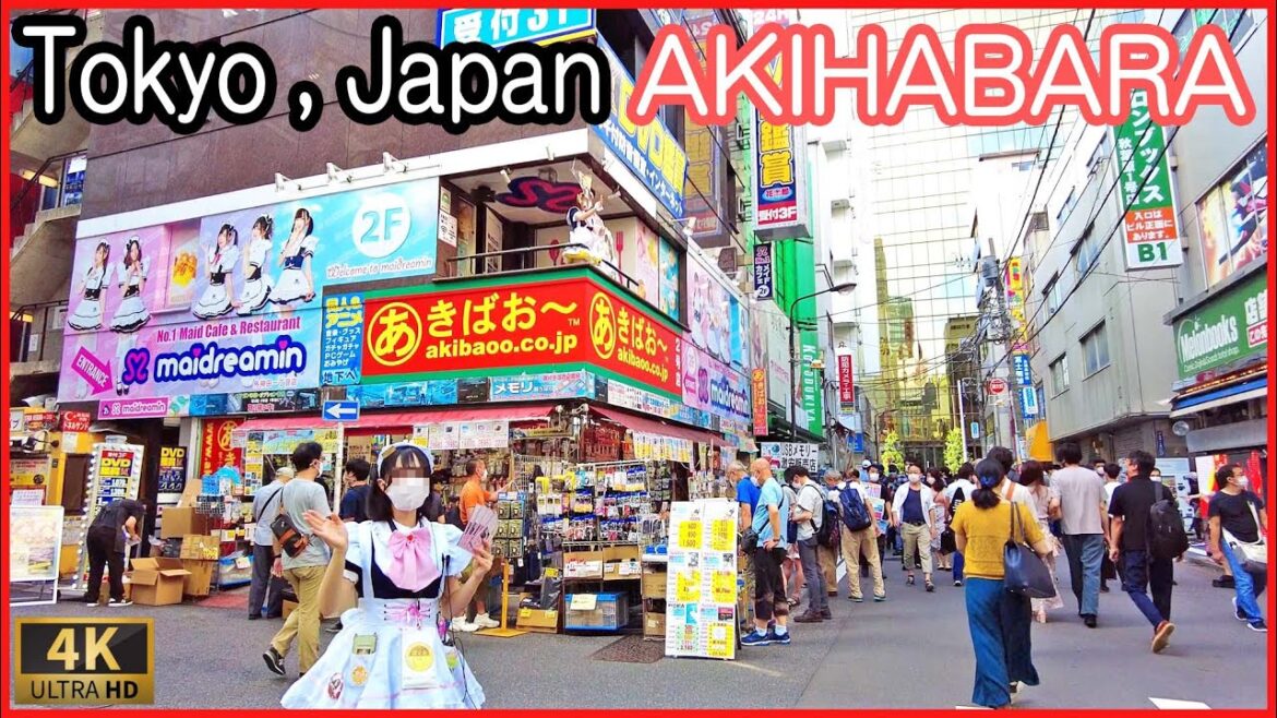 Tokyo walk 4K,Japan - Akihabara maid street 2022
