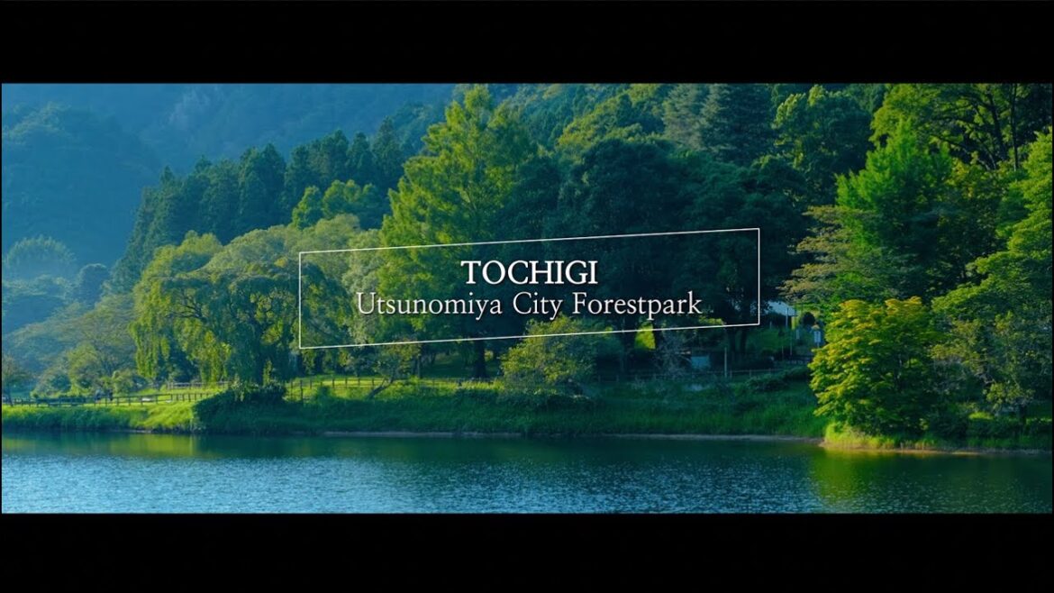 宇都宮市森林公園 4K 観光PV 栃木県 宇都宮市 観光PR