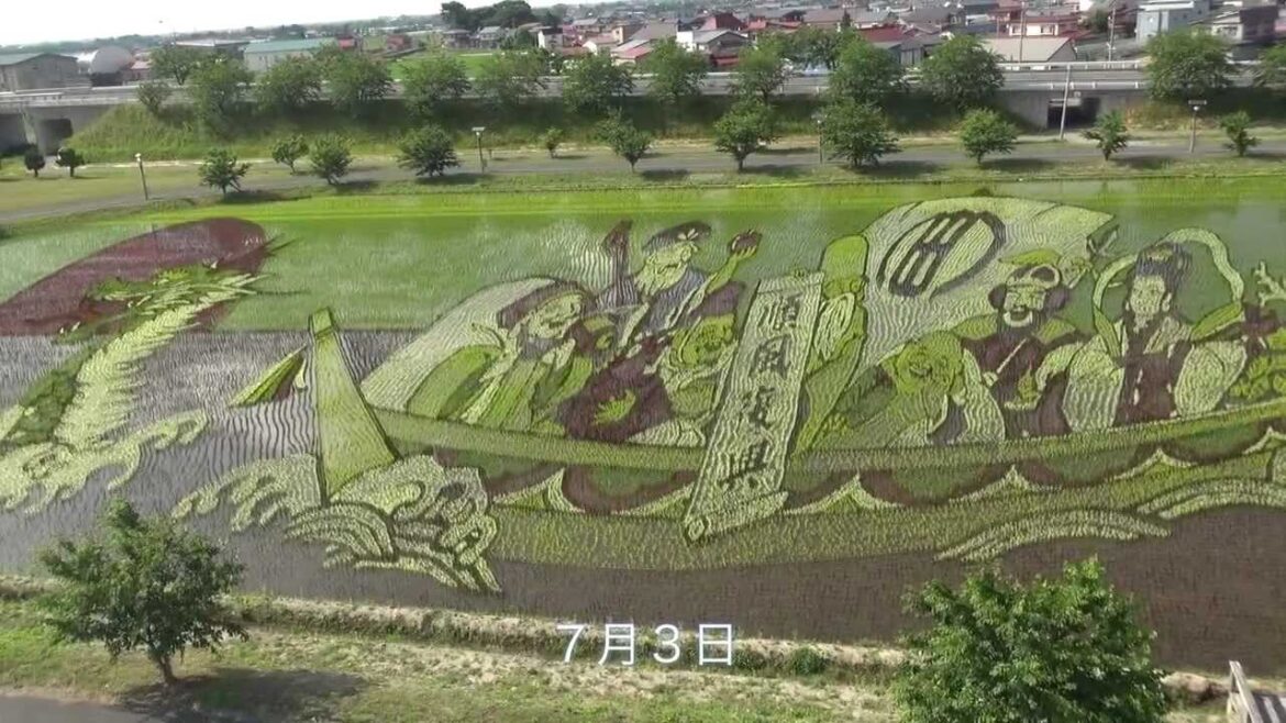 わくわく✩あおもり 第15回 2012年 田んぼアートに参加しよう♪♪ 田舎館村