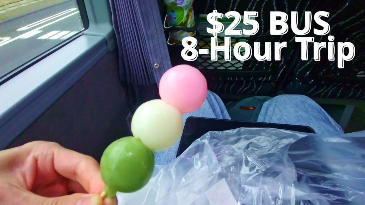 [Japan Travel Vlog] $25 Cheap Bus 8-Hour Trip｜Osaka-Tokyo