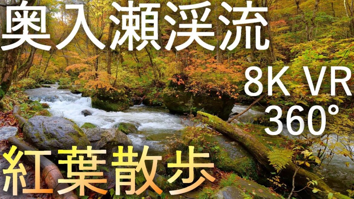 【奥入瀬渓流】石ヶ戸から子ノ口 紅葉散歩【青森県十和田市】Oirase stream, Autumn leaves in Towada City, Aomori Pref, VR 360° 8K