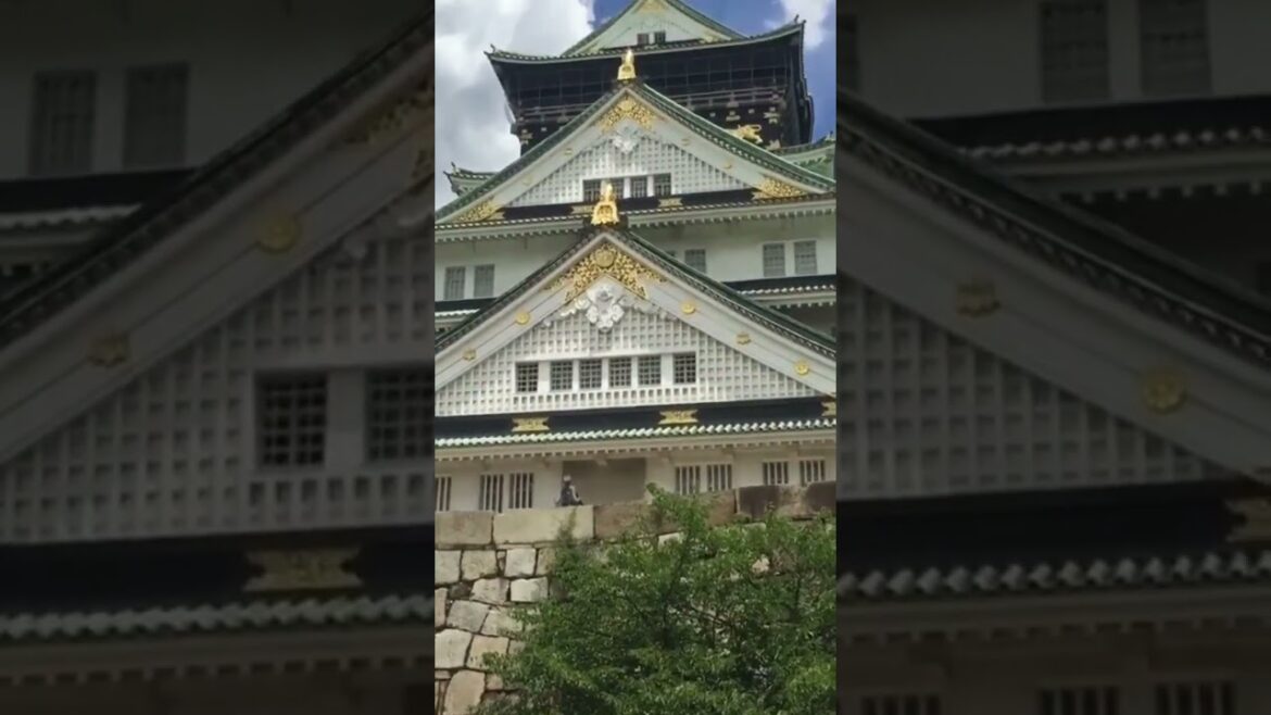 When you see 🫢🫣a Castle 🏰 in the middle of Osaka Japan 🇯🇵‼️#shorts