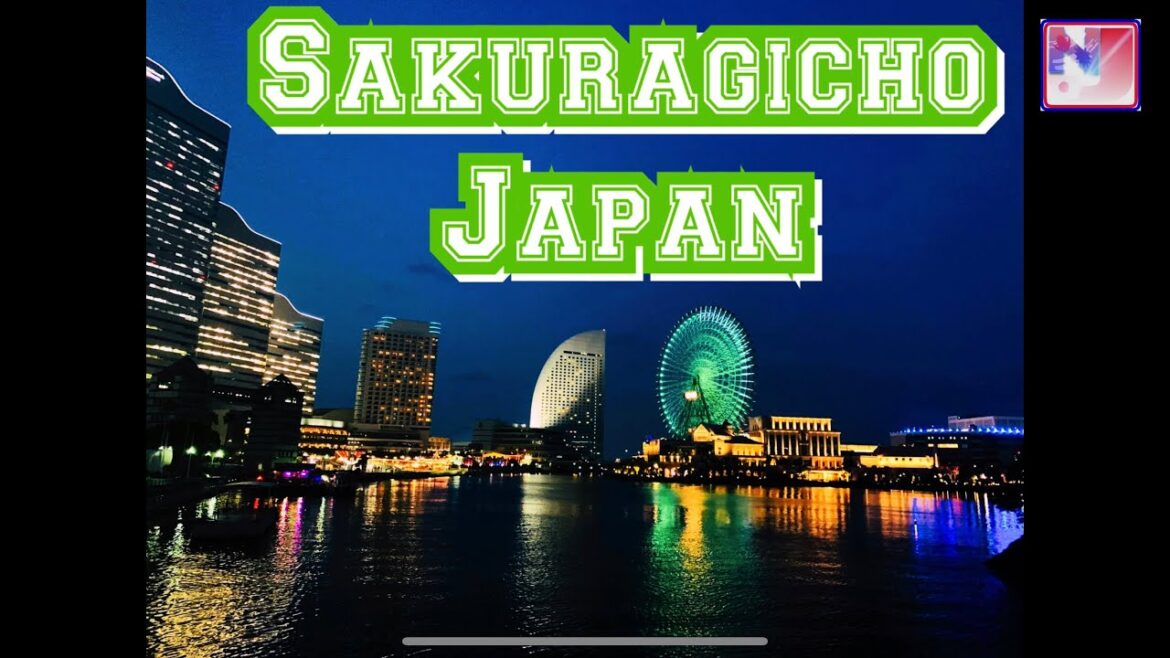 桜木町/sakuragicho/japan/yokohama/beautiful places/Japan's oldest station/nepali in japan/by samun