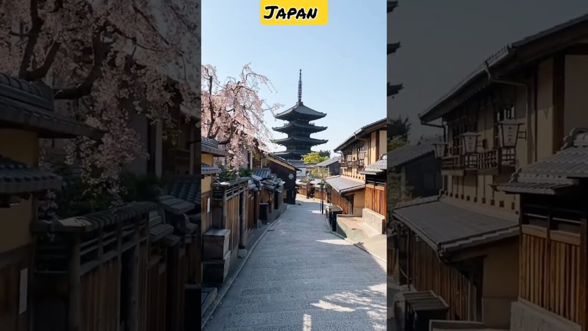 Japan Temple #shorts#japan#trending #short#trendingshorts #travel#japantravel Japan Temple #shorts#japan#trending #short#trendingshorts #travel#japantravel