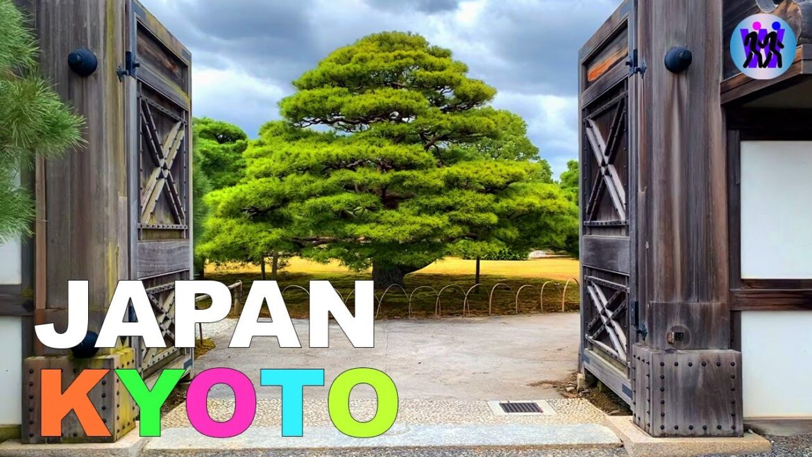 Best Place to Drink Green tea in Kyoto. Best Place to Drink Green tea in Kyoto.