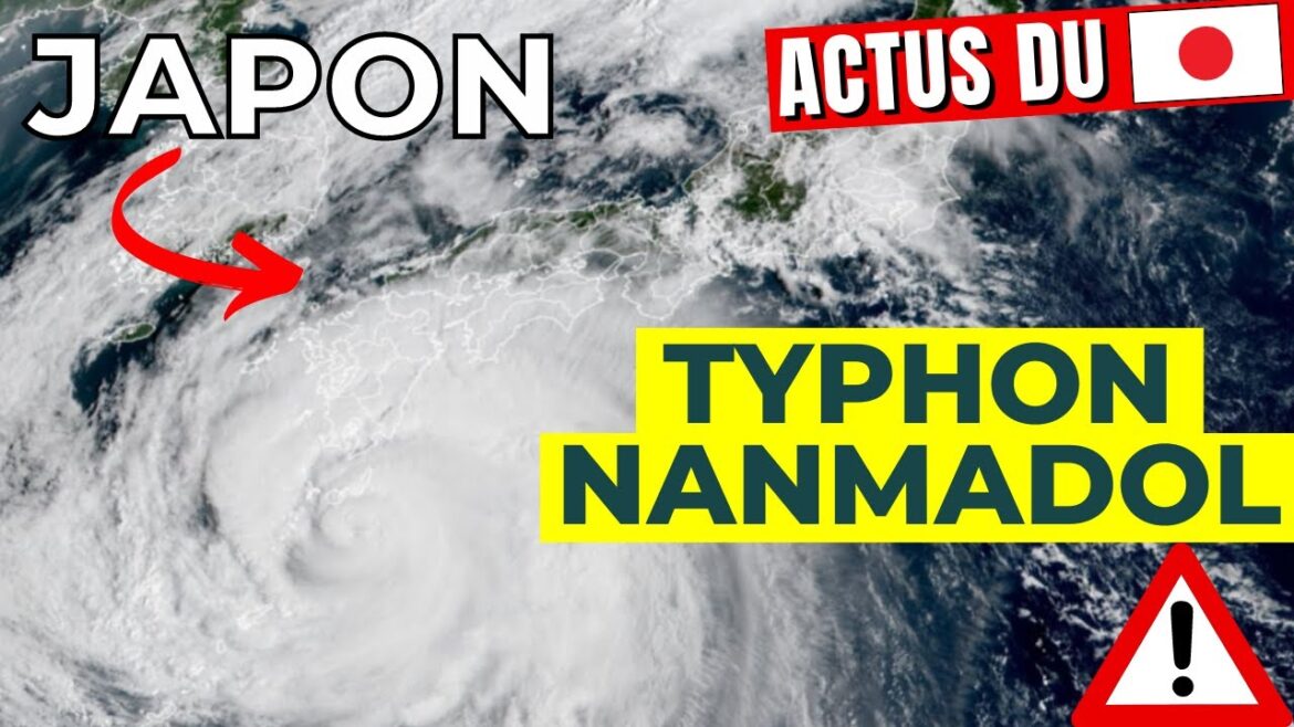 🇯🇵 L'ACTU DU JAPON : Violent typhon, réouverture des frontières, sécurité des enfants dans les bus..