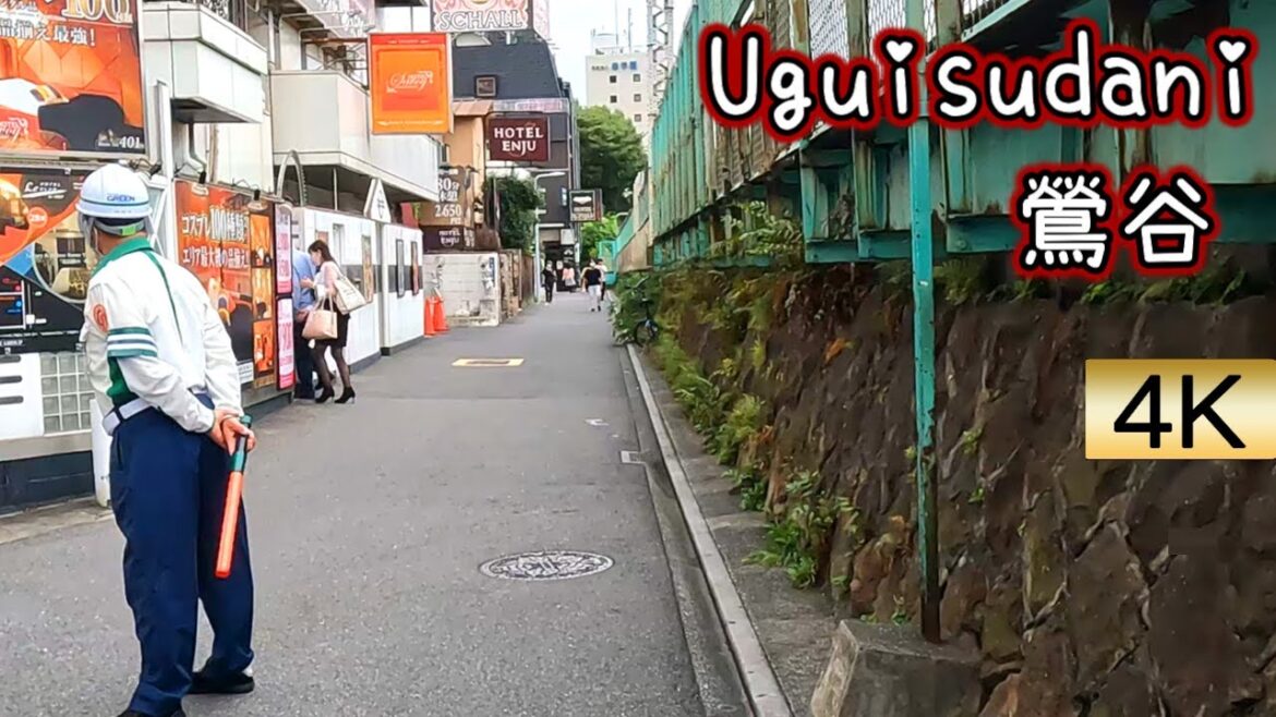Uguisudani Walk in Tokyo,鶯谷,Japan Walk【4K60fps】