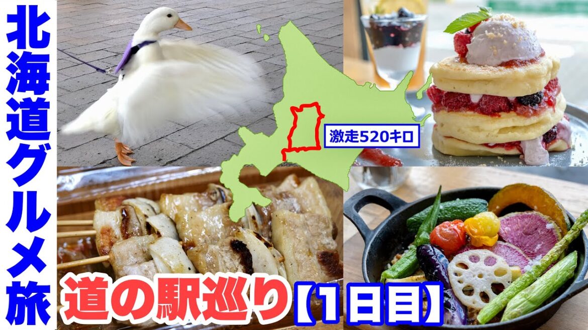 【北海道グルメ旅】道央道北 道の駅巡り2泊3日【1日目】タレ豚串・濃厚豆乳ソフト/シフォンケーキ・焼きカレー・ルバーブパンケーキなど【食い倒れの旅】 【北海道グルメ旅】道央道北 道の駅巡り2泊3日【1日目】タレ豚串・濃厚豆乳ソフト/シフォンケーキ・焼きカレー・ルバーブパンケーキなど【食い倒れの旅】