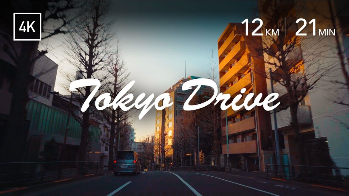 TOKYO SUNRISE DRIVE | 朝の目白通りをドライブ [4K/BGM無し] Inbound of Mejiro-dori avenue＜豊玉〜落合南長崎〜目白駅前〜江戸川橋＞