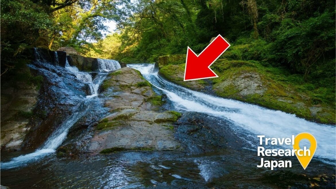 熊本の天然のクーラー🚣‍♀️菊池渓谷でリラックス散歩してきた｜Travel and relax walk in Japan, Kumamoto