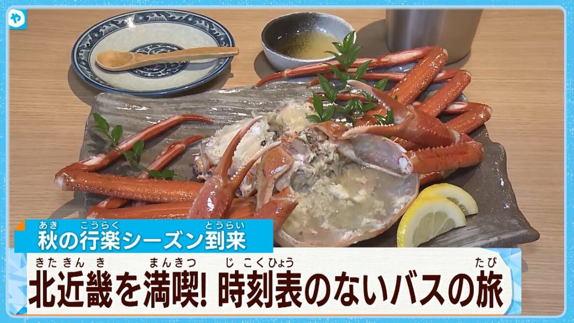 【#カニ解禁】温泉入ってカニ食べて、天空の城に…時刻表のないバス旅を大満喫! 【#カニ解禁】温泉入ってカニ食べて、天空の城に…時刻表のないバス旅を大満喫!