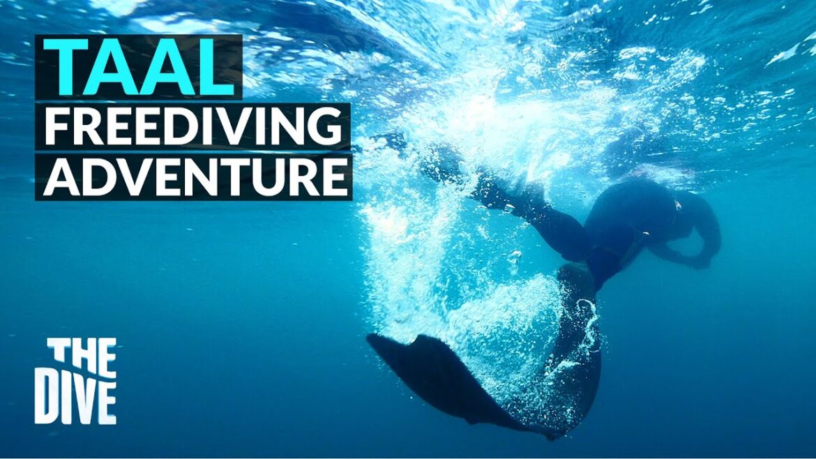 Taal, Batangas Free Diving Adventure #TheDivePH Taal, Batangas Free Diving Adventure #TheDivePH