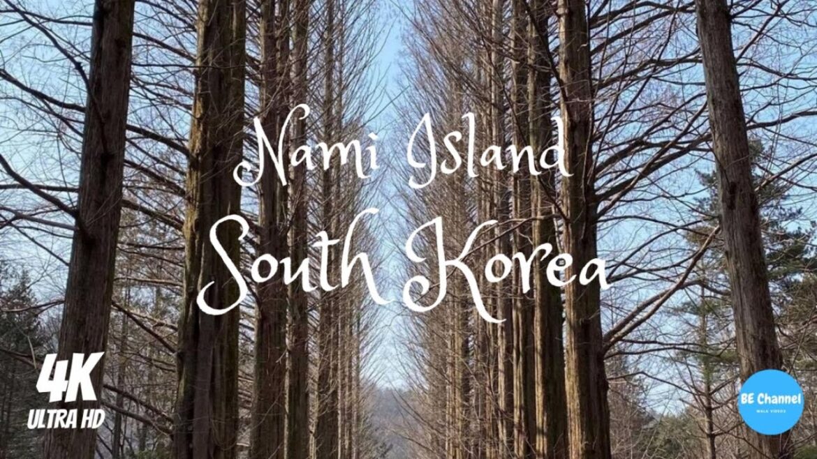 Nami island walking tour part1 남이섬 February 2021 Nami island walking tour part1 남이섬 February 2021