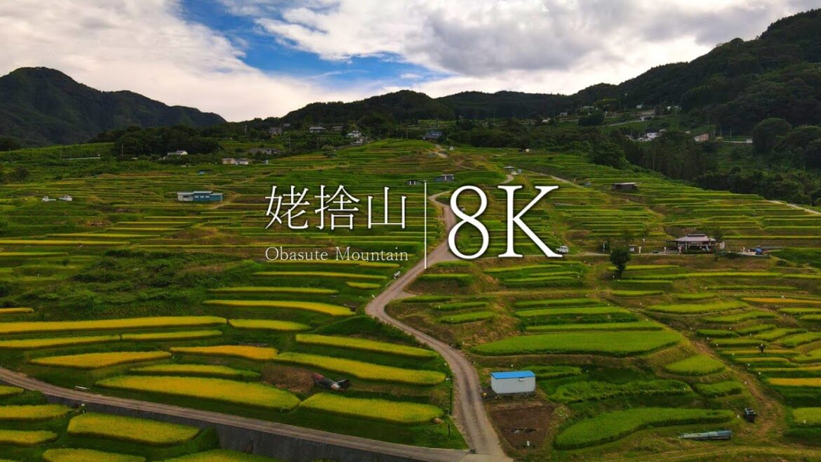【日本三大車窓の絶景】姥捨山の棚田を訪ねて – Nagano's terraced rice fields Japan in 8K 【日本三大車窓の絶景】姥捨山の棚田を訪ねて - Nagano's terraced rice fields Japan in 8K