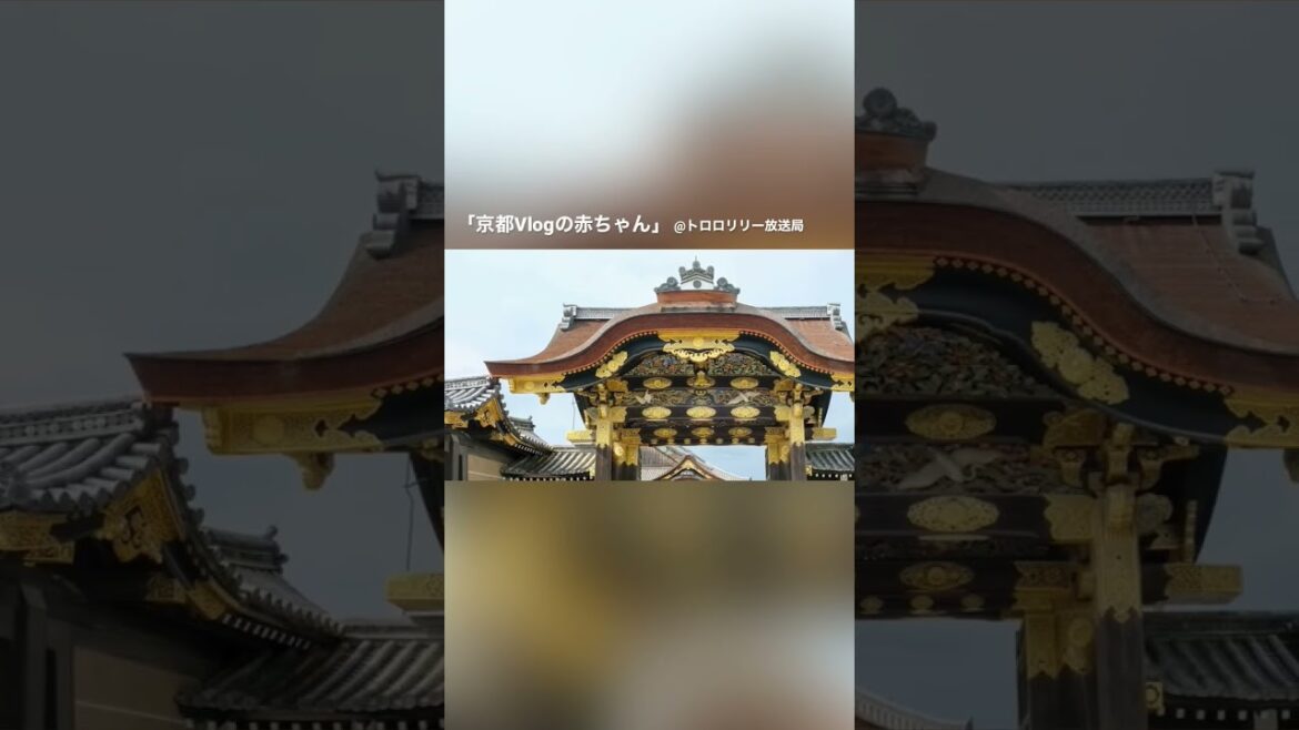 2人で京都旅行にいきました。京都Vlogの赤ちゃんができました。