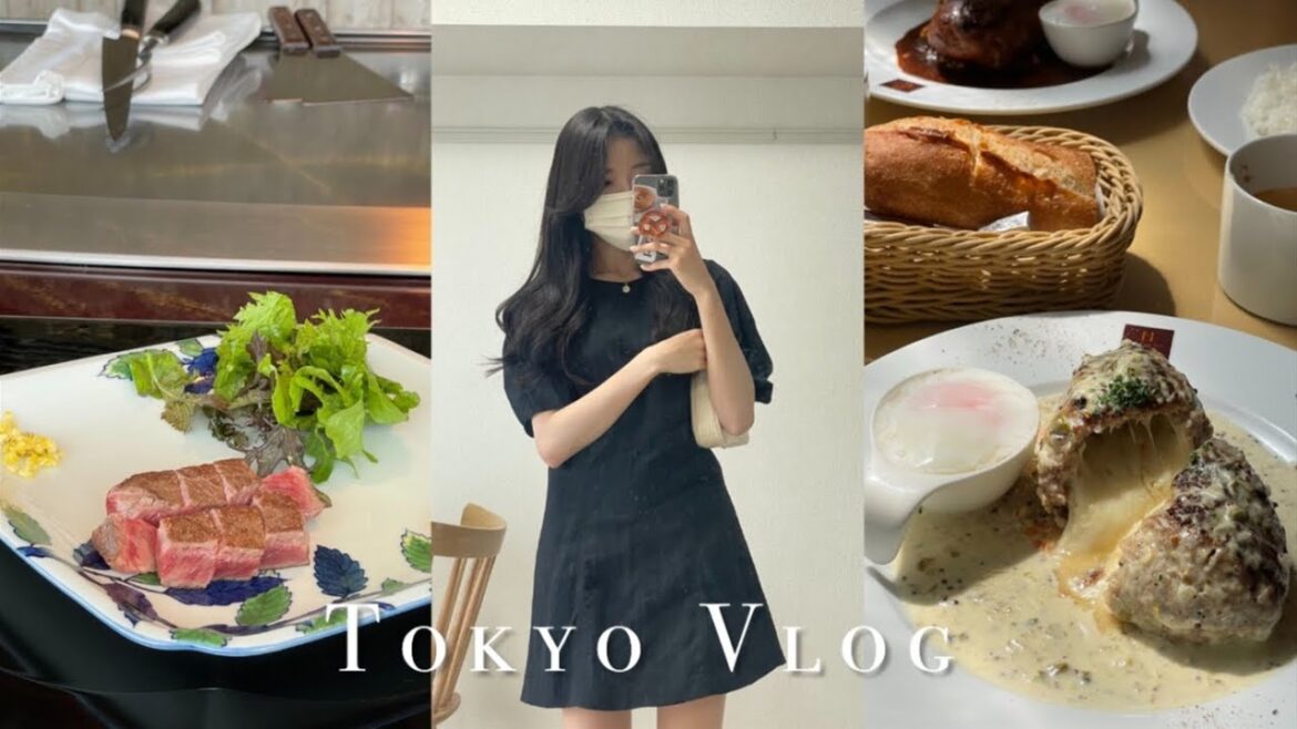일본 일상 브이로그 | 도쿄 맛집투어에 진심이었던 한 주, 두시간 반 대기한 도쿄 함바그 맛집, 오모테산도 철판요리 우카이테이, 아사쿠사 몬자야끼, 갓파바시 그릇 쇼핑