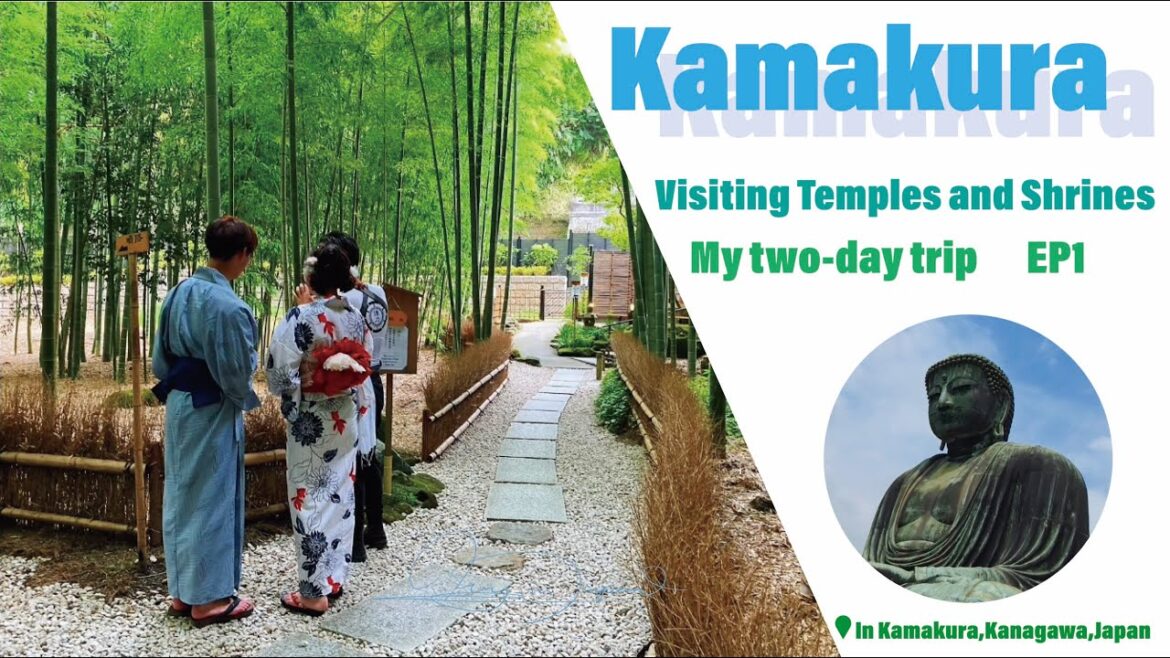 Visiting Temples and Shrines in Kamakura,Japan&Some Japanese Food&History|My 2day tripEP1|#kamakura