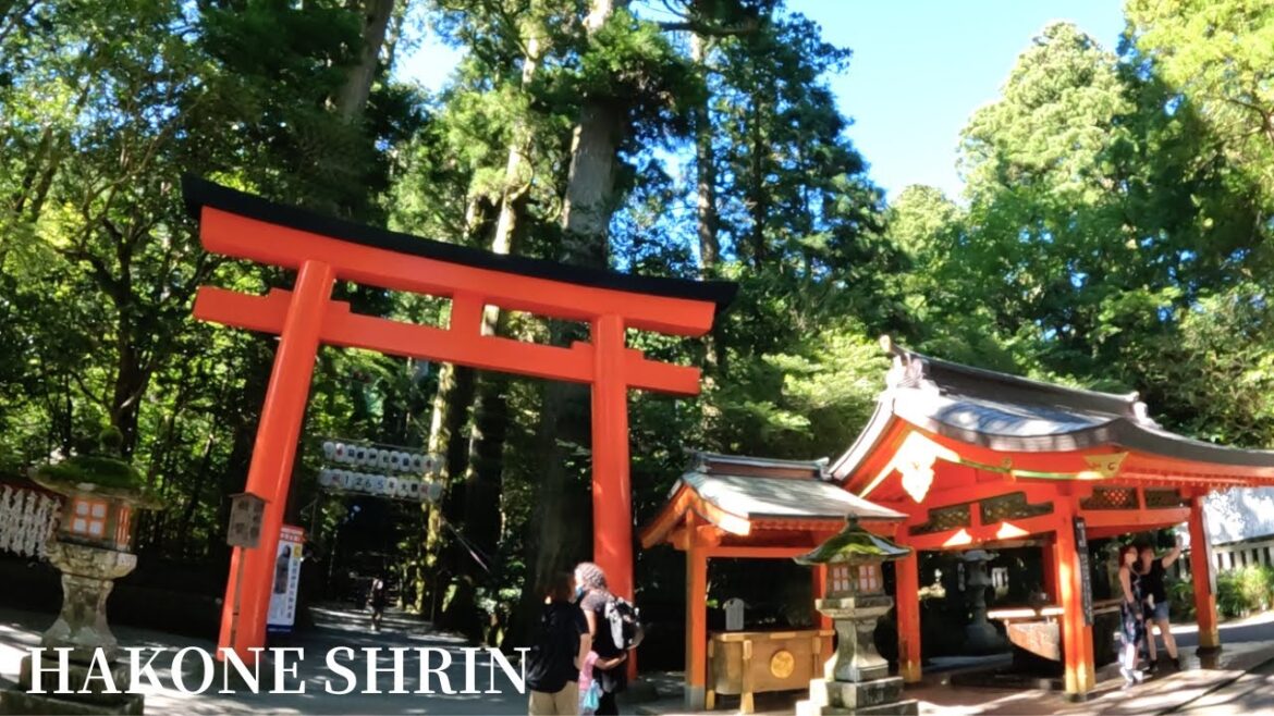 【箱根神社】大きくないけどエネルギーがすごかった。荘厳なパワースポット。