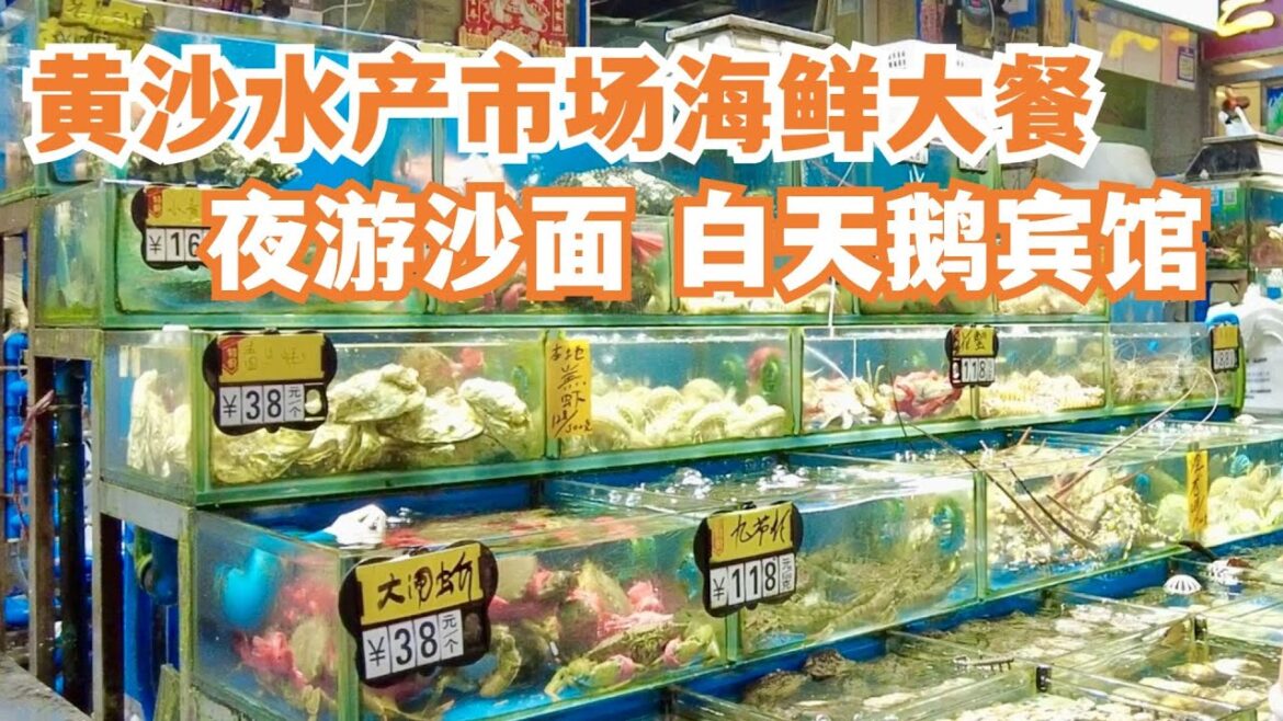【广州漫步粤菜美食探店】 广州最大海鲜市场黄沙水产批发市场食海鲜!seafood market 沙面白天鹅Chinese Food|Canton Food Tour|Walk in GuangZhou 【广州漫步粤菜美食探店】 广州最大海鲜市场黄沙水产批发市场食海鲜!seafood market 沙面白天鹅Chinese Food|Canton Food Tour|Walk in GuangZhou