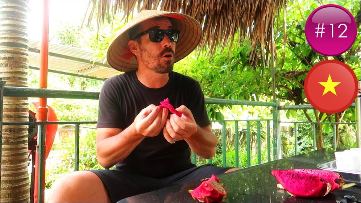 QUEL ACCUEIL AU VIETNAM ?! 🇻🇳 | LAI CHÂU | #12 QUEL ACCUEIL AU VIETNAM ?! 🇻🇳 | LAI CHÂU | #12