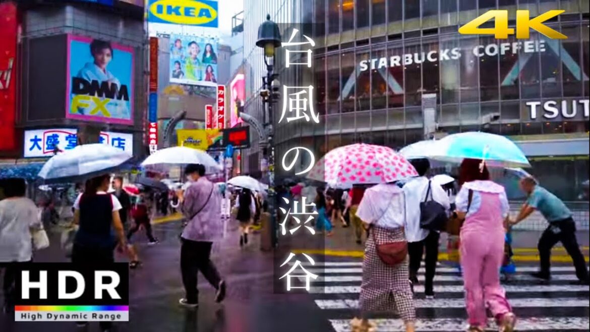 【4K HDR・イヤホン推奨】東京 台風14号・大雨の渋谷駅周辺を散歩 – Typhoon No. 14 Tokyo JAPAN Walk – DJI OSMO POCKET 【4K HDR・イヤホン推奨】東京 台風14号・大雨の渋谷駅周辺を散歩 - Typhoon No. 14 Tokyo JAPAN Walk - DJI OSMO POCKET