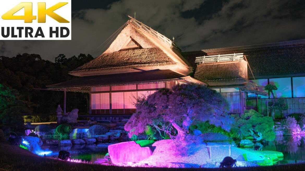 後楽園 夏の幻想庭園2022 /Japanese garden with fantasy lighting