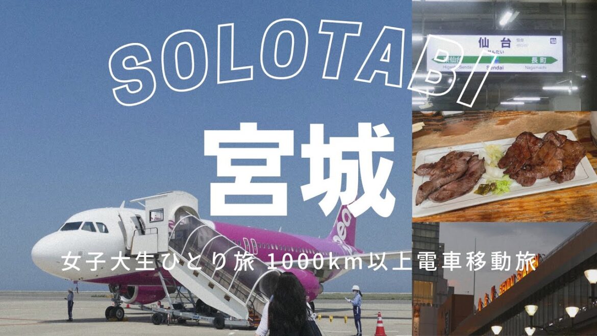 09.宮城 仙台と言えば〇〇!? ¦新しいコンビニ見つけた ¦青春18きっぷ旅 09.宮城 仙台と言えば〇〇!? ¦新しいコンビニ見つけた ¦青春18きっぷ旅