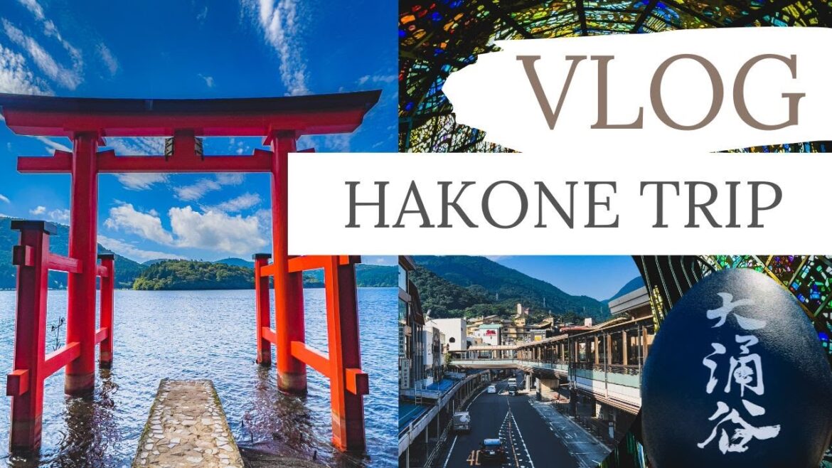 HAKONE TRIP | Cinematic Vlog | Shot on Sony α7C | Tamron 28-200mm F2.8-5.6 | ひとり旅 | 4K | 箱根 HAKONE TRIP | Cinematic Vlog | Shot on Sony α7C | Tamron 28-200mm F2.8-5.6 | ひとり旅 | 4K | 箱根