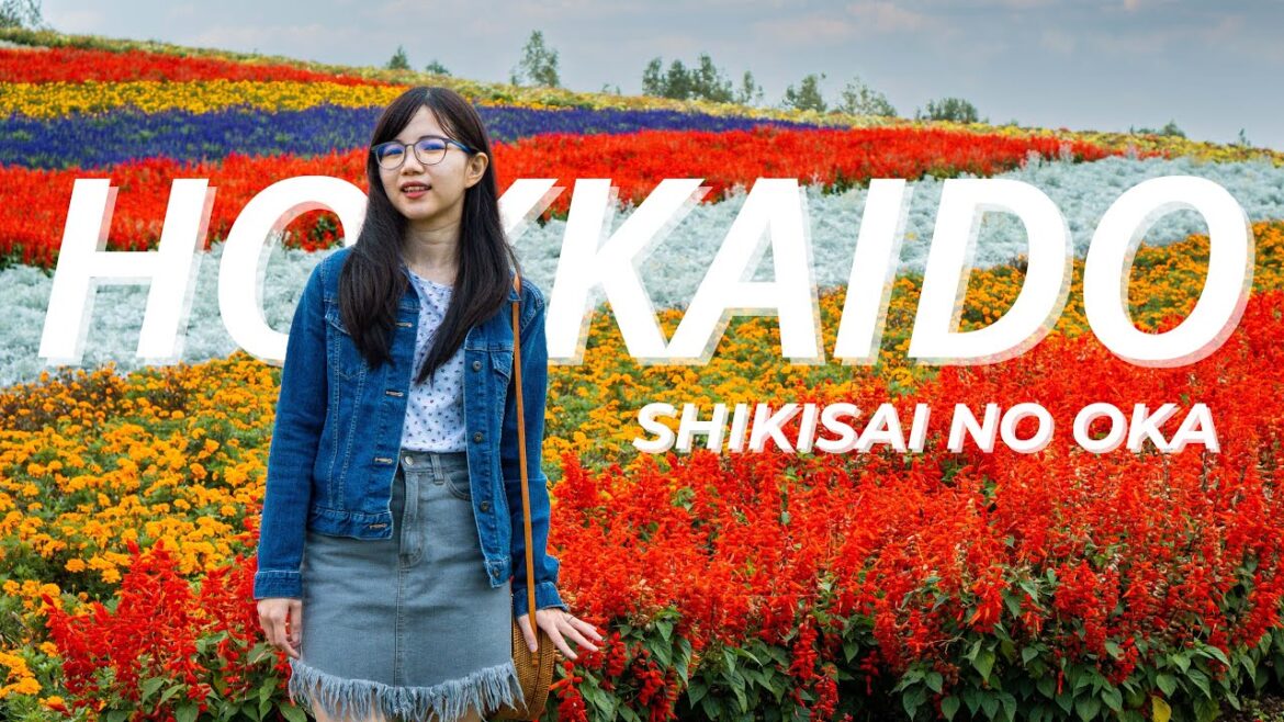 SHIKISAI NO OKA, HOKKAIDO | 四季彩の丘 | Thảo Chan #28