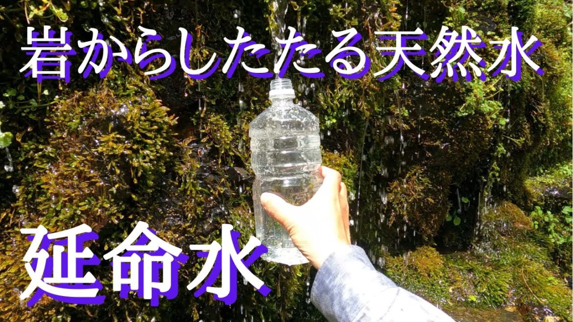 【延命水】長い時間をかけて岩の隙間からしたたる北アルプスの天然水は、不純物が一切含まれていないのでゴクゴクとそのまま飲めます。 【延命水】長い時間をかけて岩の隙間からしたたる北アルプスの天然水は、不純物が一切含まれていないのでゴクゴクとそのまま飲めます。