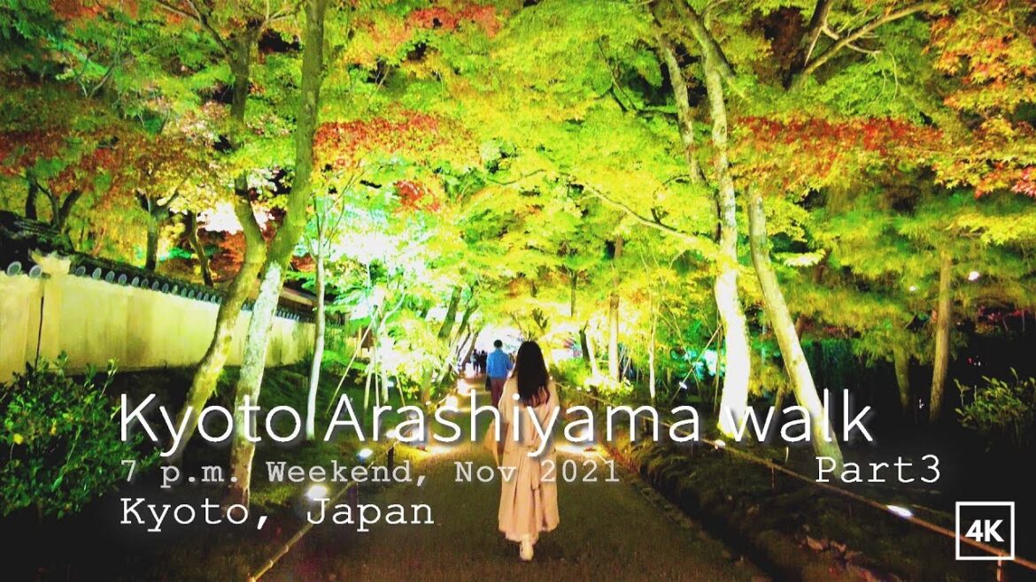 [4K] Part 3 Kyoto walk | Japan Autumn season Arashiyama walking tour | Night maple light up| 京都 嵐山