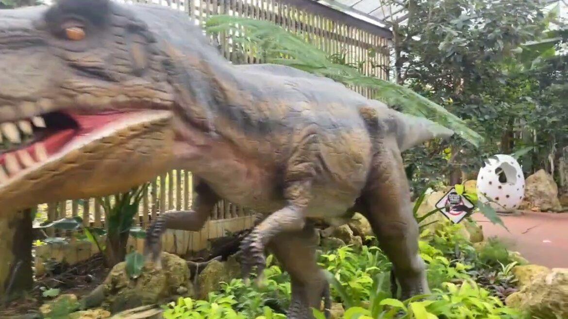 Dinosaur Adventure Tour at Pineapple park in Okinawa, Japan. パイナップルパークにいる恐竜達