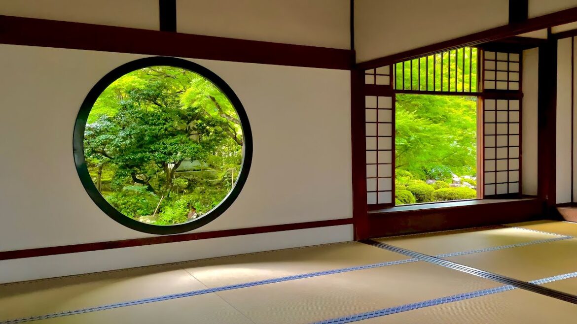 Kyoto Travel Vlog | Visiting Beautiful Japanese Shrines and Other Hidden Gems